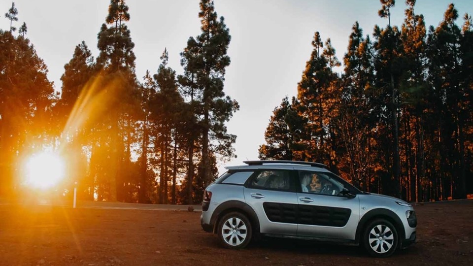 El nuevo Citroën C4 Cactus ahora pertenece al segmento de los  compactos
