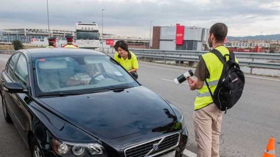 Controles de tráfico en Cataluña para detectar al mosquito tigre