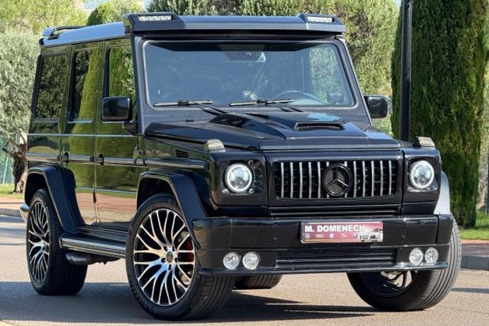 MERCEDES-BENZ G 500 cat