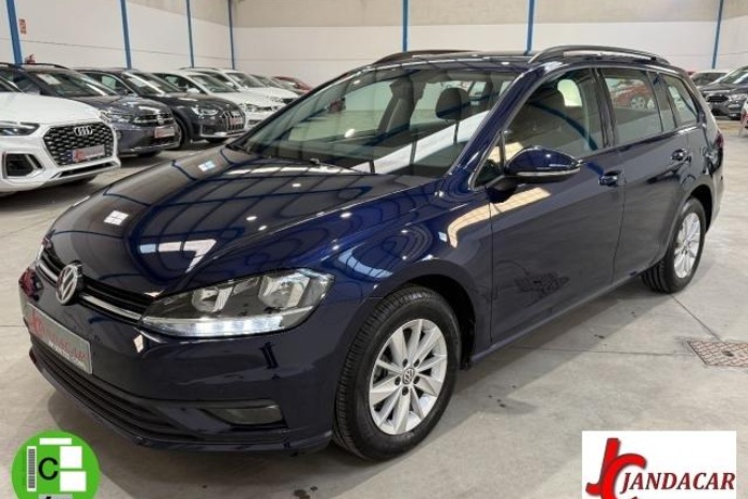 VOLKSWAGEN GOLF Variant Last Edition 1.6 TDI 85 kW (115 CV)
