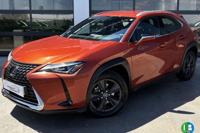 LEXUS UX 250h 2.0 Business 184cv Hybrid