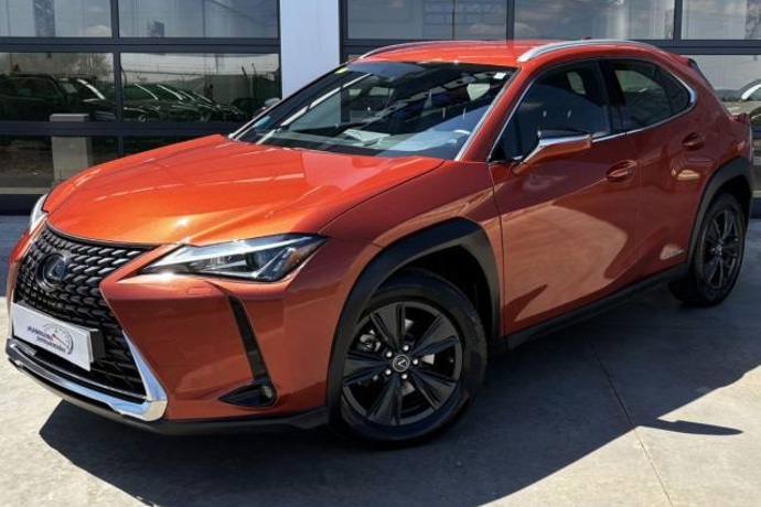 LEXUS UX 250h 2.0 Business 184cv Hybrid
