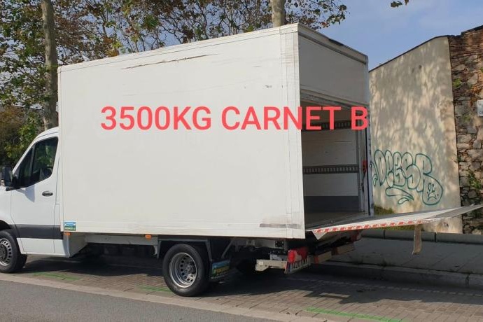 MERCEDES-BENZ SPRINTER 516 LARGO  CON PUERTA ELEVADORA  3.5 T