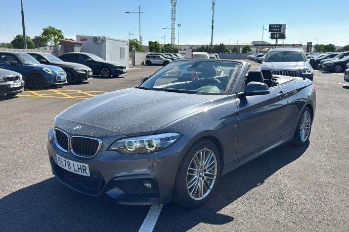 BMW SERIE 2 220i Cabrio 135 kW (184 CV)