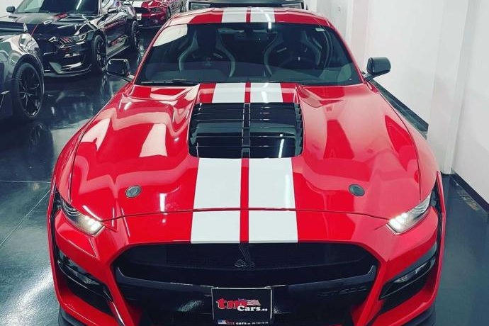 FORD MUSTANG Ford Mustang GT500 golden ticket!!