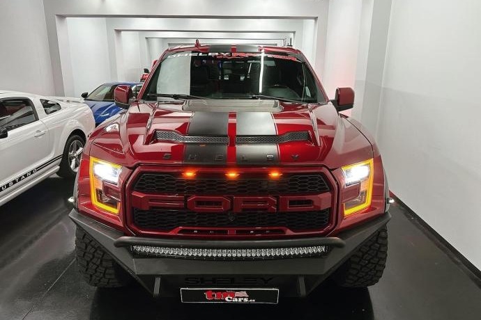 FORD F-150 BAJA SHELBY