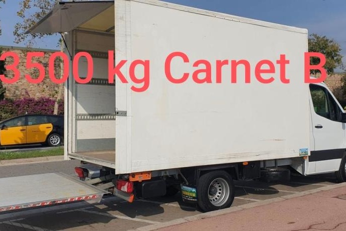 MERCEDES-BENZ SPRINTER 516 LARGO  CON PUERTA ELEVADORA  3.5 T