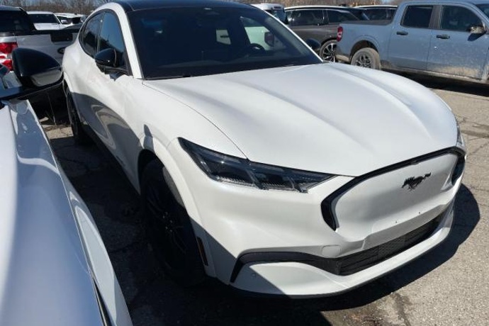 FORD MUSTANG Mach-E RWD 216 kW (294 CV) Rango Extendido 99 kWh