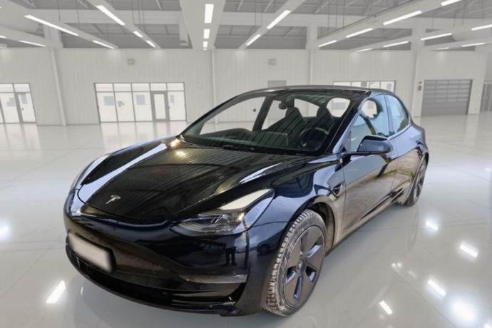 TESLA MODEL 3 Gran Autonomía 4WD