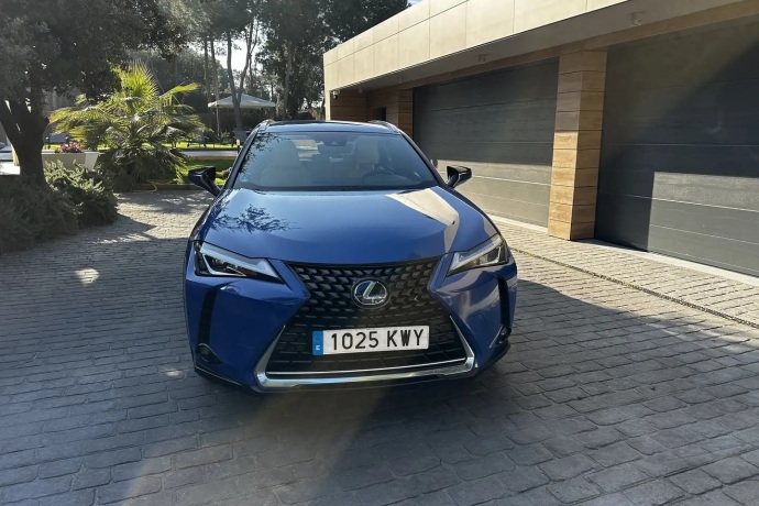 LEXUS UX 250h Business Navigation 2WD