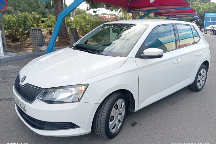 SKODA FABIA 1.4 TDi 75 CV Business